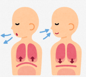 腹式呼吸のやり方