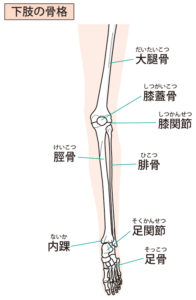 足の骨の状態