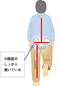 正しい歩き方の見本